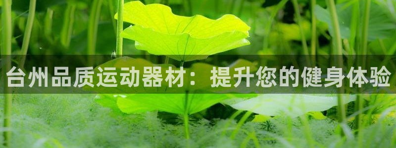 意昂体育3注册：台州品质运动器材：提升您的健身体验
