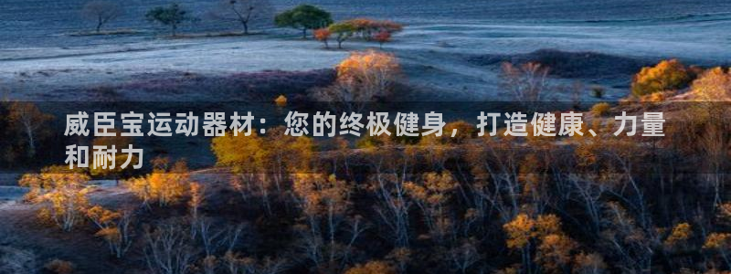 意昂3娱乐首页网站大全：威臣宝运动器材：您的终极健身