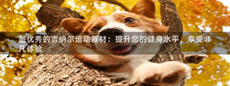 意昂3集团logo：最优秀的吉纳尔运动器材：提升您的