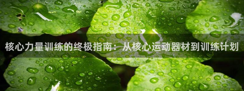 意昂体育3平台注册流程视频：核心力量训练的终极指南：