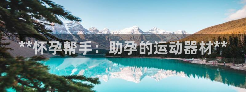 意昂3娱乐：**怀孕帮手：助孕的运动器材**