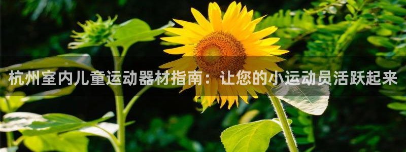 意昂体育3是干嘛的公司：杭州室内儿童运动器材指南：让