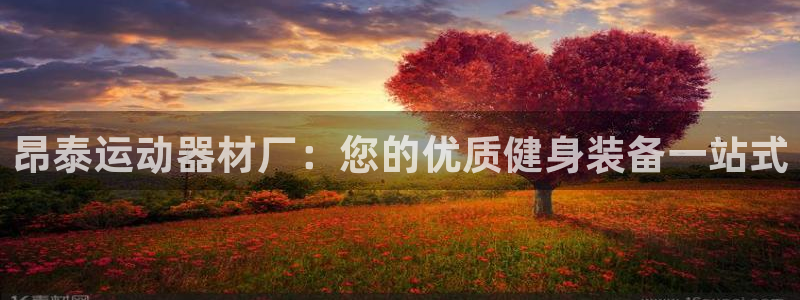 意昂体育3是干嘛的公司：昂泰运动器材厂：您的优质健身