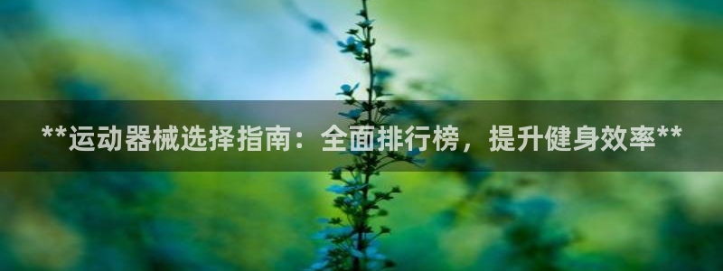意昂3新能源：**运动器械选择指南：全面排行榜，提升