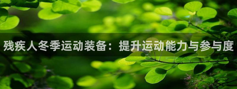 意昂体育3官方客服电话：残疾人冬季运动装备：提升运动