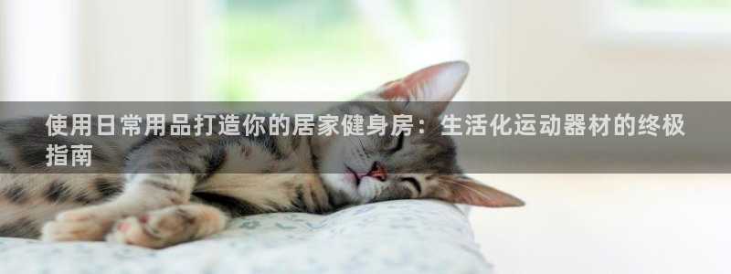 意昂体育3招商电话是多少号码：使用日常用品打造你的居