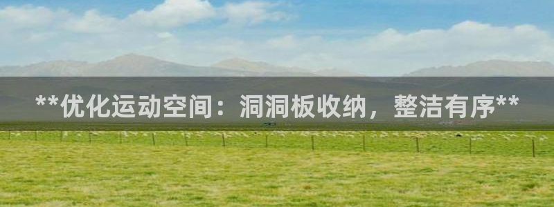 意昂体育3招商电话地址是多少：**优化运动空间：洞洞