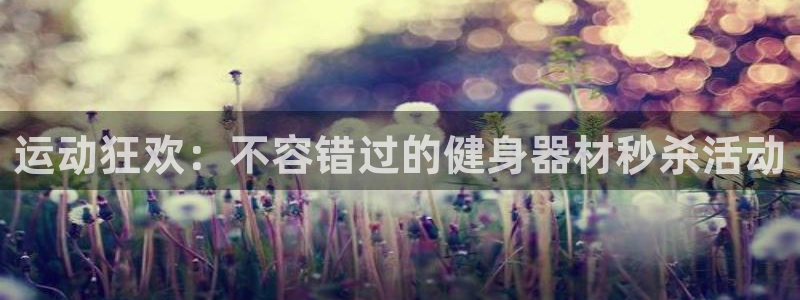 意昂体育3平台APP：运动狂欢：不容错过的健身器材秒