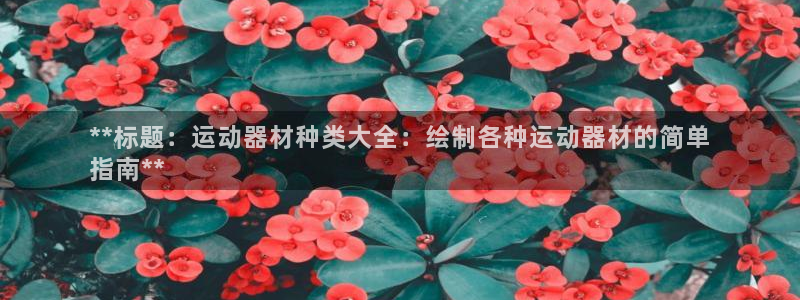 意昂平台体育：**标题：运动器材种类大全：绘制各种运