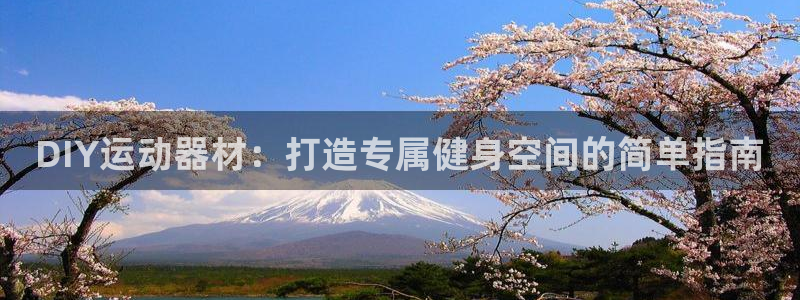 意昂体育3招商电话号码查询是多少：DIY运动器材：打