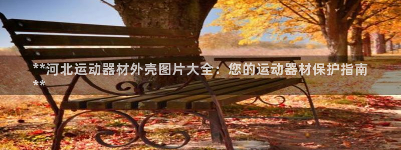 意昂体育3平台注册要钱吗：**河北运动器材外壳图片大