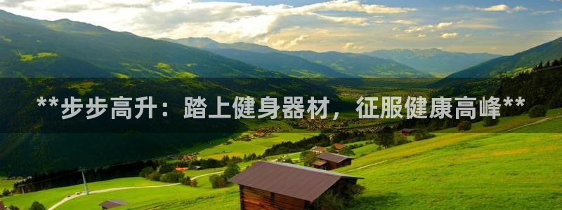 意昂集团官网：**步步高升：踏上健身器材，征服健康高