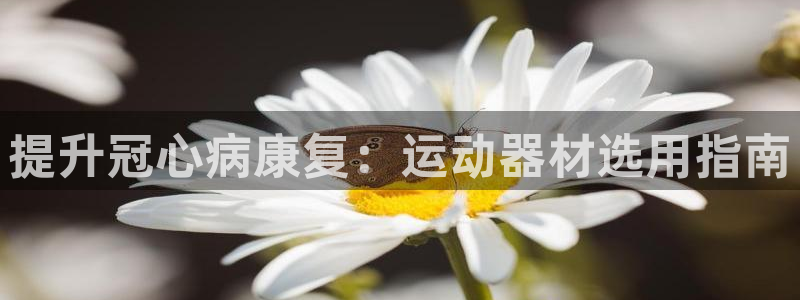 意昂3娱乐：提升冠心病康复：运动器材选用指南