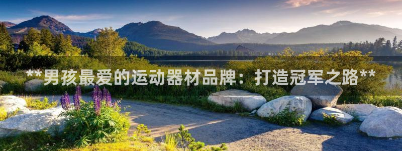意昂体育3平台是正规平台吗知乎：**男孩最爱的运动器