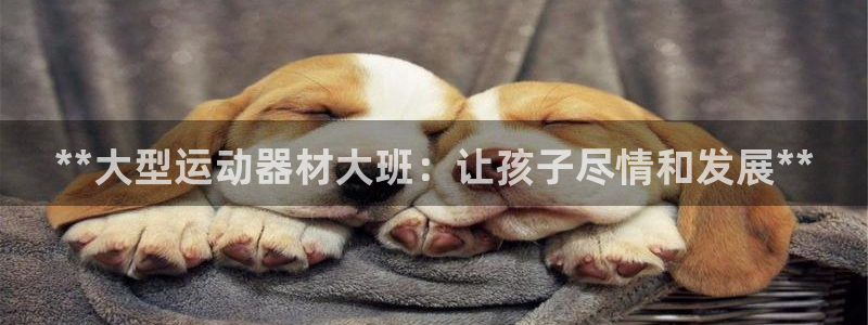 意昂体育3招商电话号码查询是多少：**大型运动器材大