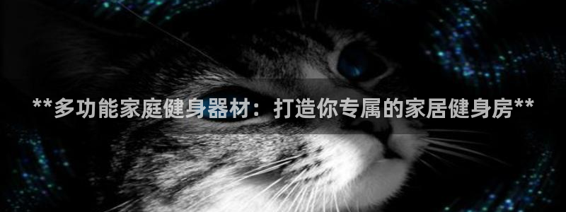 意昂3集团logo：**多功能家庭健身器材：打造你专