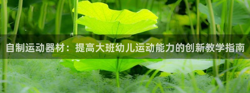 意昂体育3：自制运动器材：提高大班幼儿运动能力的创新