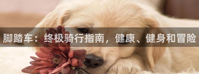 意昂体育3平台：脚踏车：终极骑行指南，健康、健身和冒