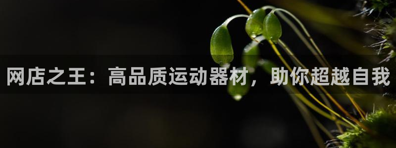 意昂3代理