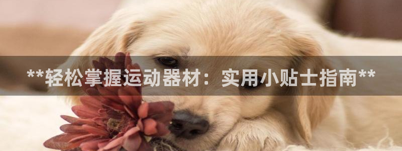 德国意昂3集团：**轻松掌握运动器材：实用小贴士指南