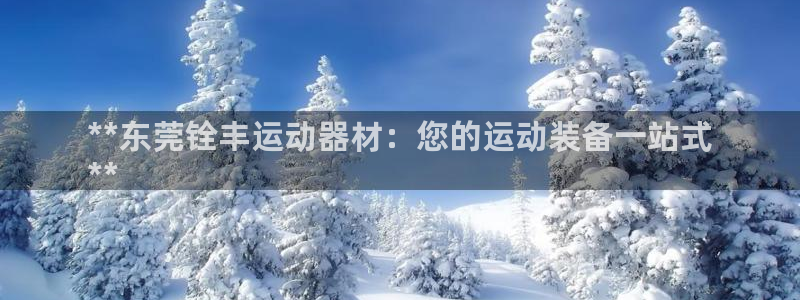 意昂体育3软件：**东莞铨丰运动器材：您的运动装备一