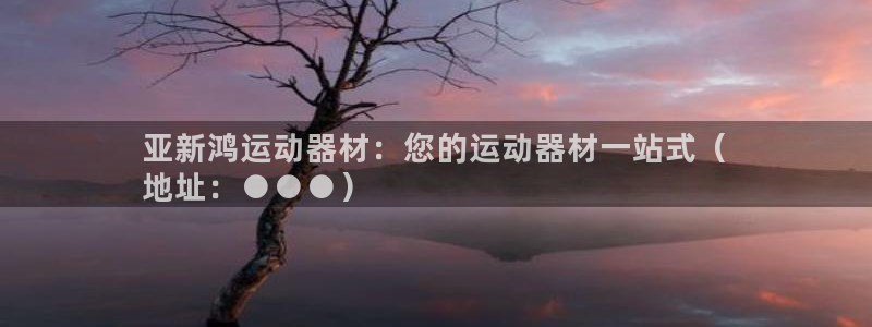 意昂体育3平台假的吗是真的吗：亚新鸿运动器材：您的运