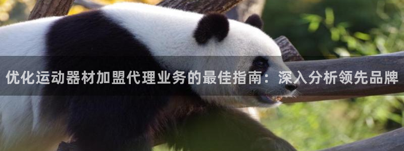 意昂3集团官网首页：优化运动器材加盟代理业务的最佳指
