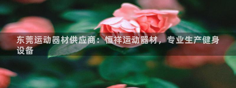 意昂体育3开户：东莞运动器材供应商：恒祥运动器材，专