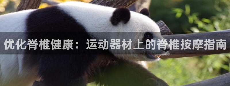 意昂3代理：优化脊椎健康：运动器材上的脊椎按摩指南