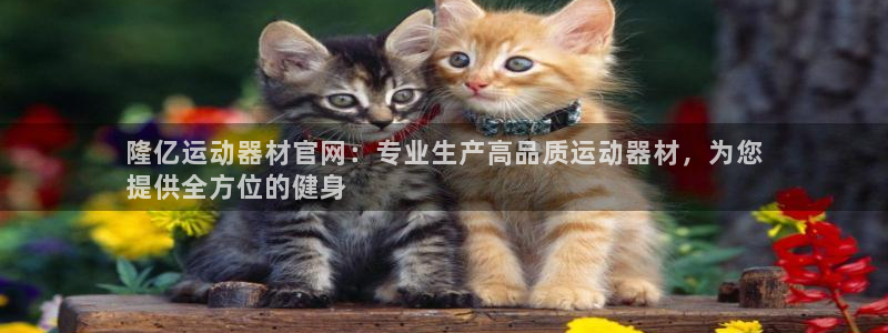 意昂体育3平台注册要钱吗：隆亿运动器材官网：专业生产