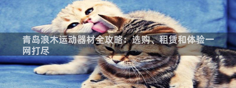 意昂3开户：青岛浪木运动器材全攻略：选购、租赁和体验