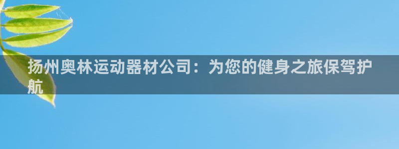 意昂3五金厂：扬州奥林运动器材公司：为您的健身之旅保