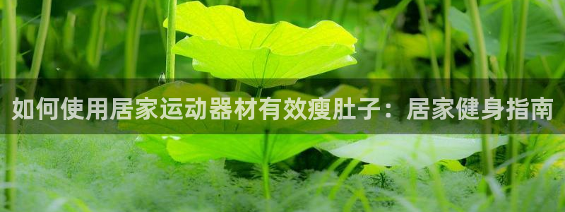 意昂体育3平台假的吗是真的吗