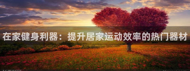 意昂体育3招商电话号码是多少：在家健身利器：提升居家