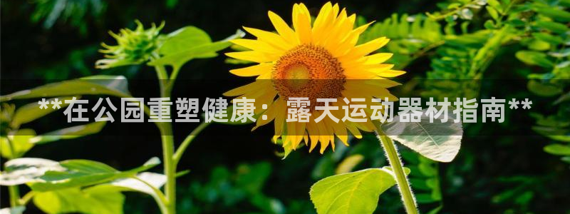 意昂体育3招商电话是多少啊：**在公园重塑健康：露天运动器材