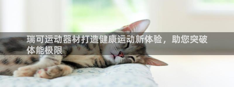 意昂平台体育：瑞可运动器材打造健康运动新体验，助您突