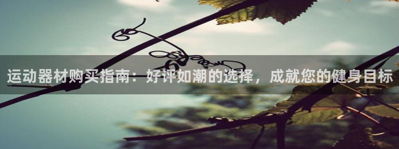 意昂3集团简介：运动器材购买指南：好评如潮的选择，成