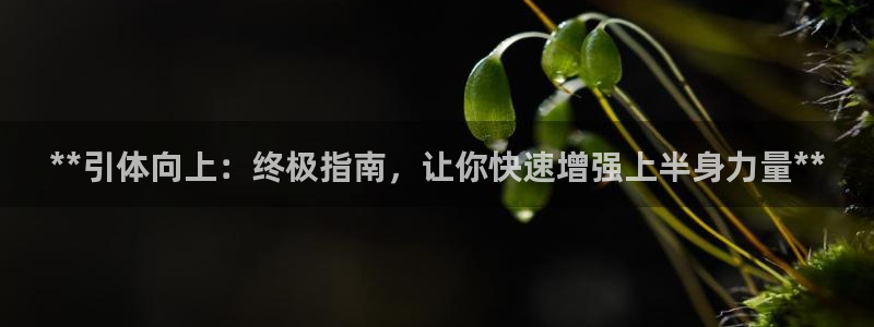 意昂3集团E.ON：**引体向上：终极指南，让你快速