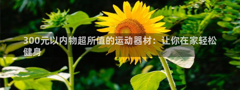 意昂体育3平台注册：300元以内物超所值的运动器材：