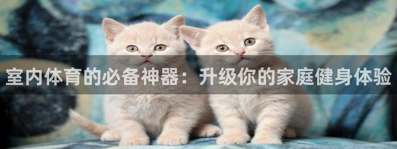 意昂体育3平台注册要钱吗是真的吗：室内体育的必备神器：升级你