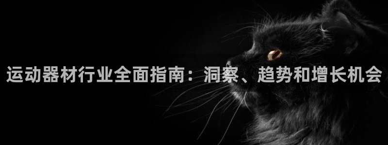 意昂3娱乐：运动器材行业全面指南：洞察、趋势和增长机