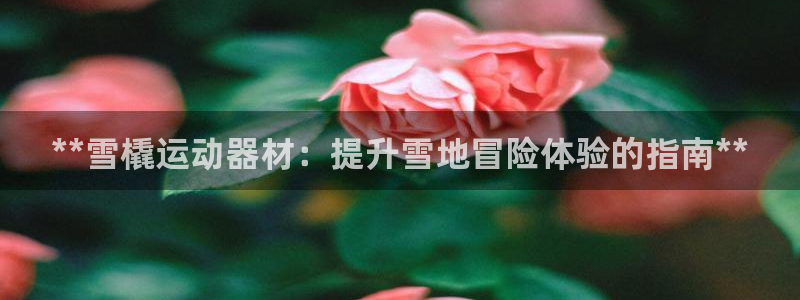 意昂体育3是干嘛的公司：**雪橇运动器材：提升雪地冒险体验的