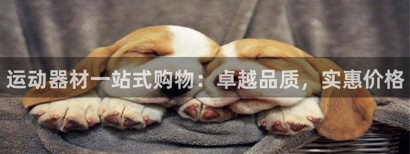 意昂3科技：运动器材一站式购物：卓越品质，实惠价格