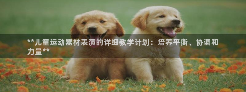 德国意昂3集团：**儿童运动器材表演的详细教学计划：
