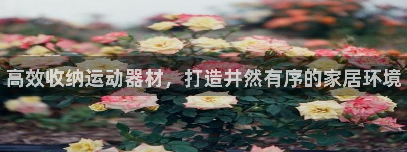 意昂体育3招商电话地址查询：高效收纳运动器材，打造井