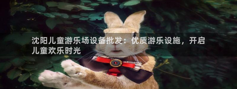 意昂体育3是干嘛的公司：沈阳儿童游乐场设备批发：优质