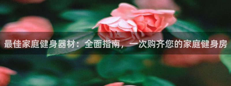 意昂3集团官网首页：最佳家庭健身器材：全面指南，一次
