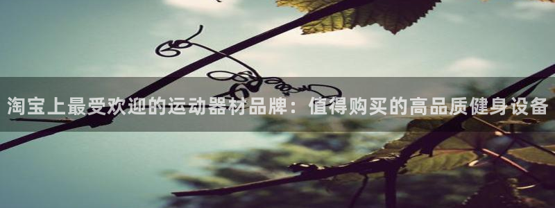 意昂体育3招商电话是多少：淘宝上最受欢迎的运动器材品