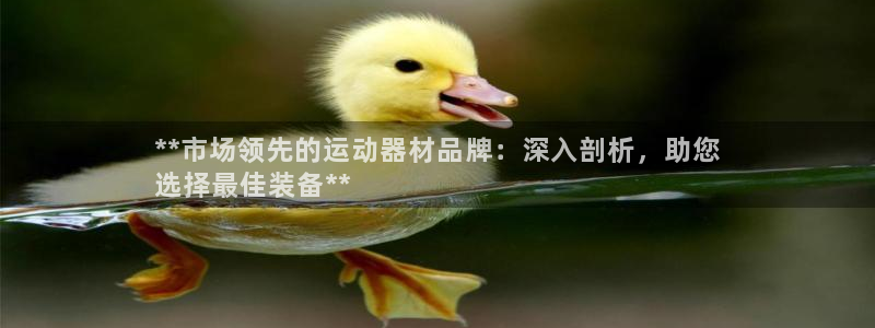 意昂体育3招商电话是多少啊：**市场领先的运动器材品