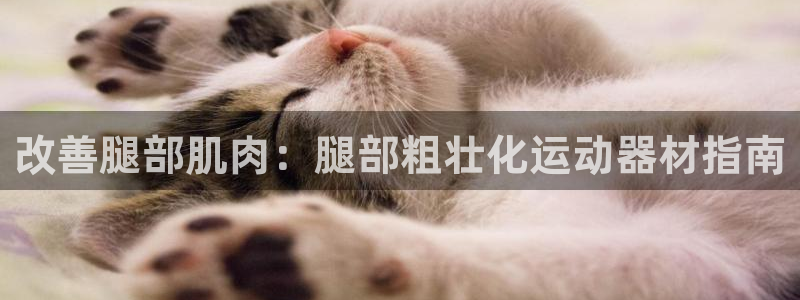 意昂体育3：改善腿部肌肉：腿部粗壮化运动器材指南